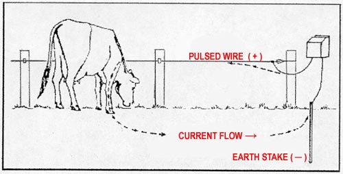 electric fencing for dummies